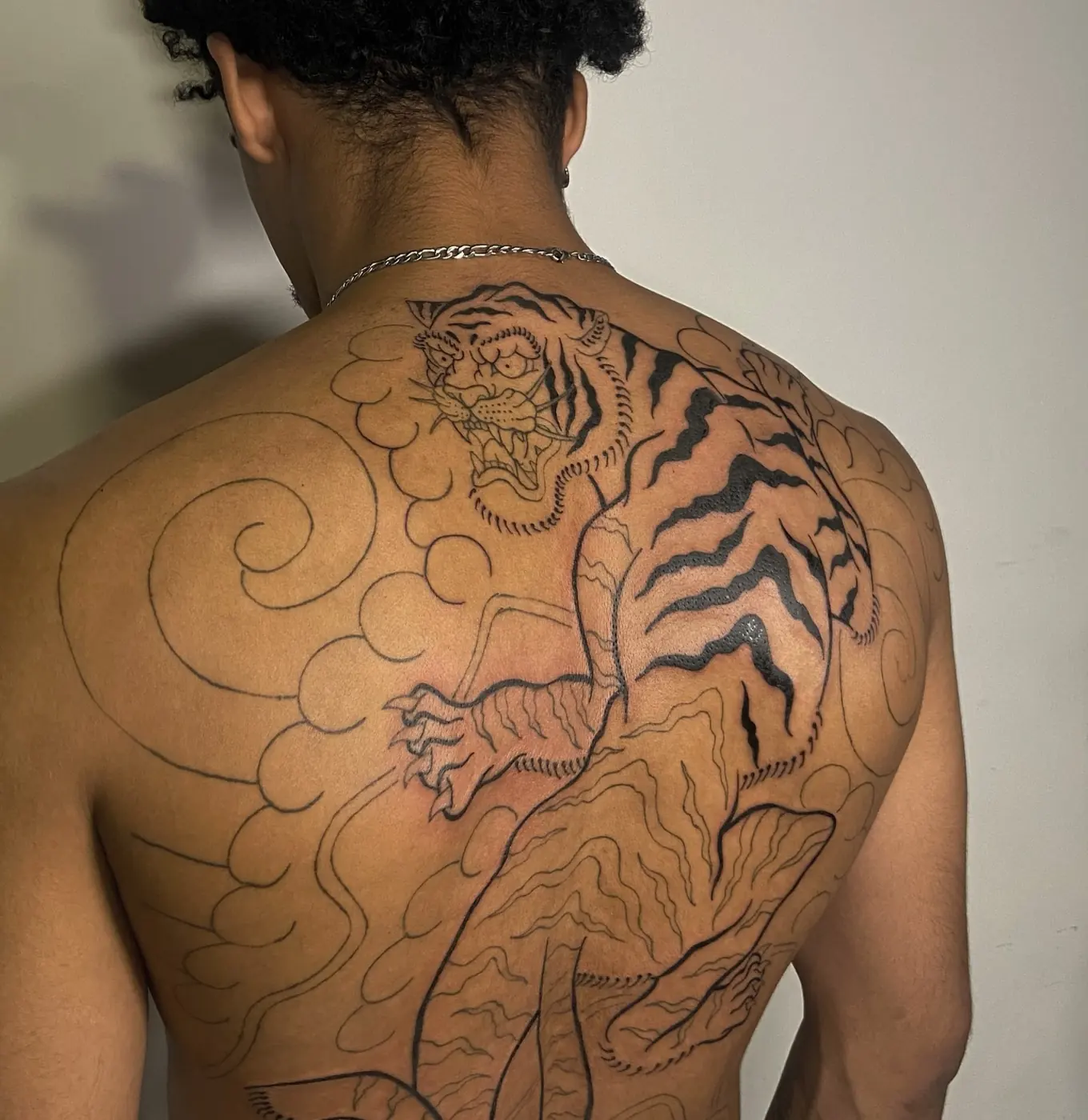 Tigre e nuvens em linha nas costas