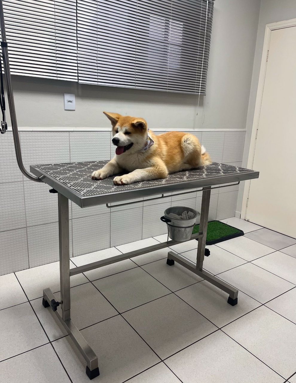 Medicações