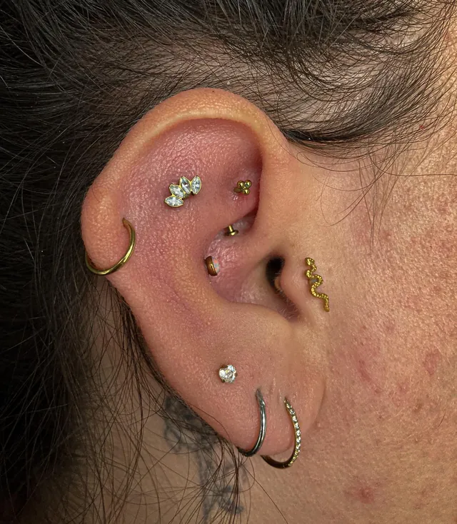 Orelha com rook, scapha e conch em joias de titânio