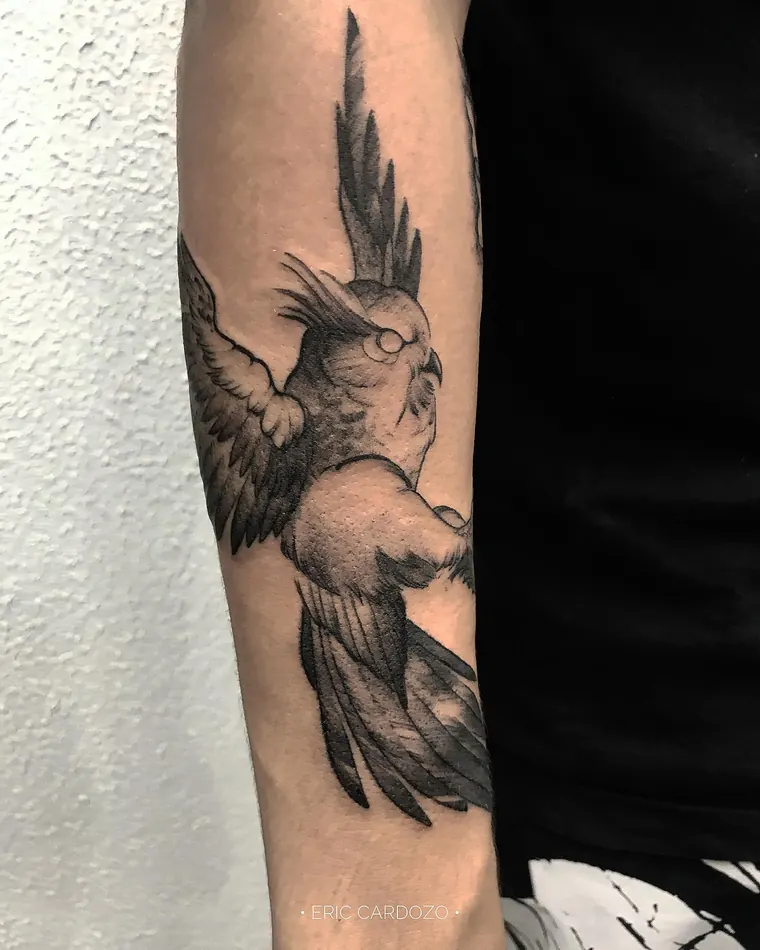 Ave em voo, tatuagem sketch por Eric Cardozo